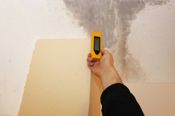 Best Mold Prevention Services  in Tamiami, FL