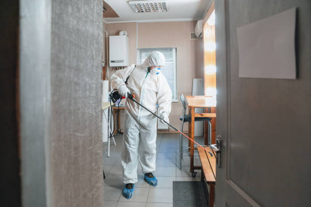 Best Biohazard Mold Removal  in Tamiami, FL