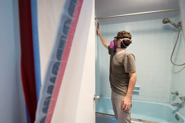 Best Black Mold Removal  in Tamiami, FL