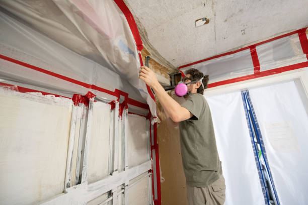 Best Mold Prevention Services  in Tamiami, FL