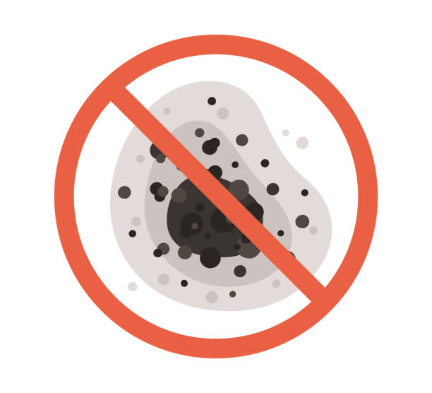 Best Biohazard Mold Removal  in Tamiami, FL
