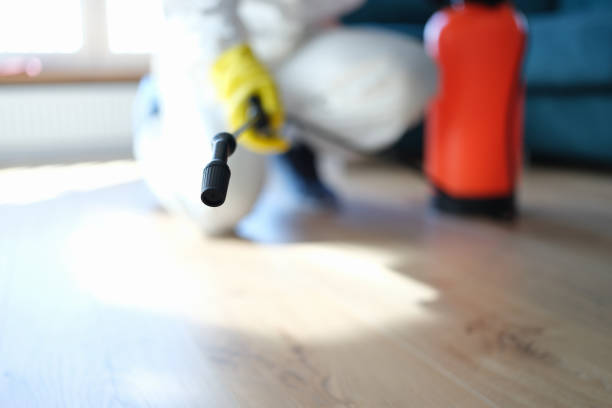 Best Attic Mold Removal  in Tamiami, FL