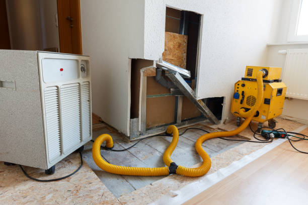 Best Post-Remediation Verification Testing  in Tamiami, FL