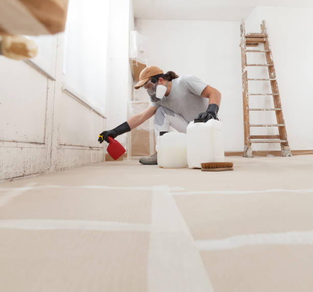 Best Comprehensive Air Testing for Mold Contaminants  in Tamiami, FL